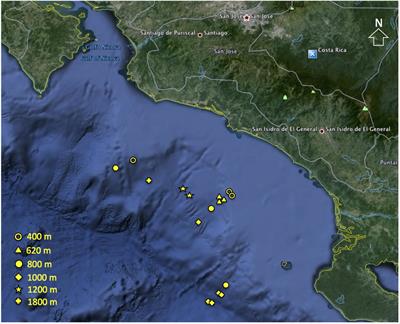 Distribution of Meiofauna in Bathyal Sediments Influenced by the Oxygen Minimum Zone Off Costa Rica